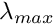 $ \lambda_{max} $